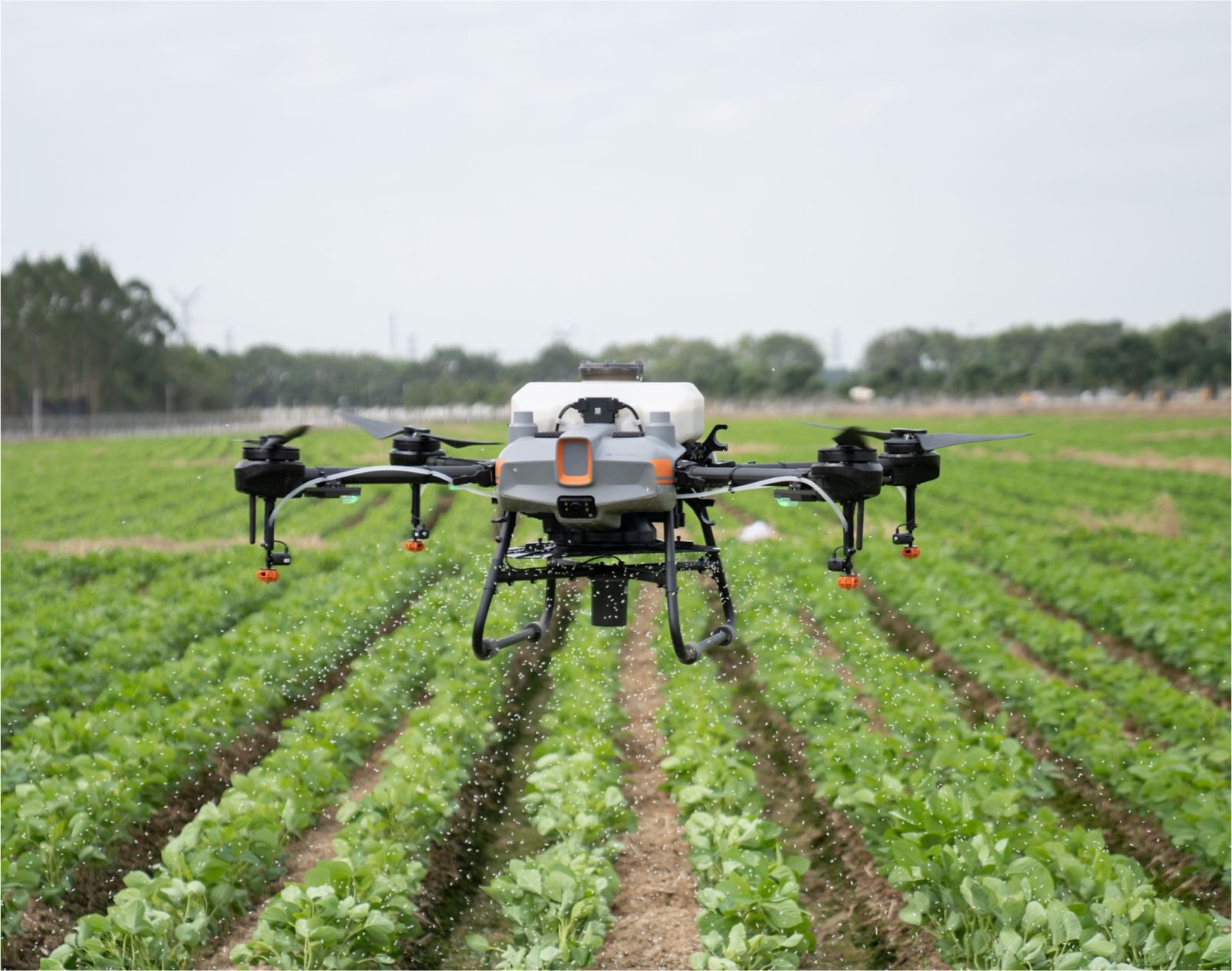 Illustration: Ghana bets on drone technology to improve agricultural yield
